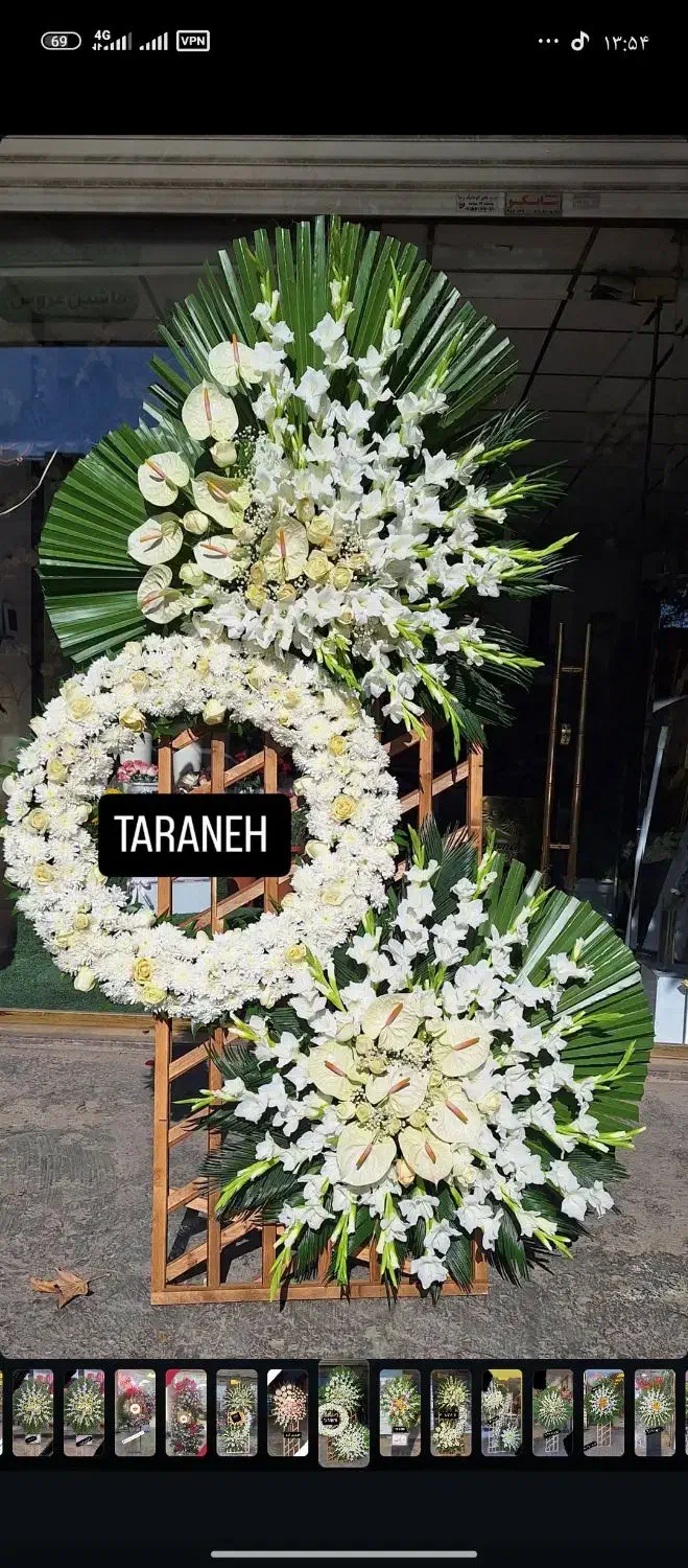 پایه گل|گل و گیاه طبیعی|مشهد, امیر|دیوار