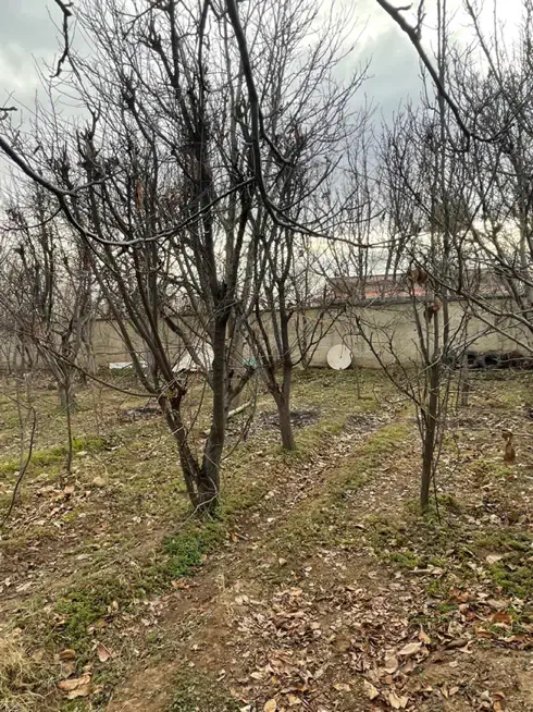 ۱۱۰۰ متر ۷۰ متر بنا با مجوز دو کله کردان کوهسار|فروش خانه و ویلا|کوهسار (البرز), |دیوار