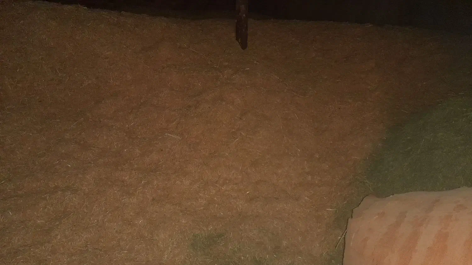 کاه سفید وکاه ینجه|لوازم جانبی حیوانات|دورود, |دیوار