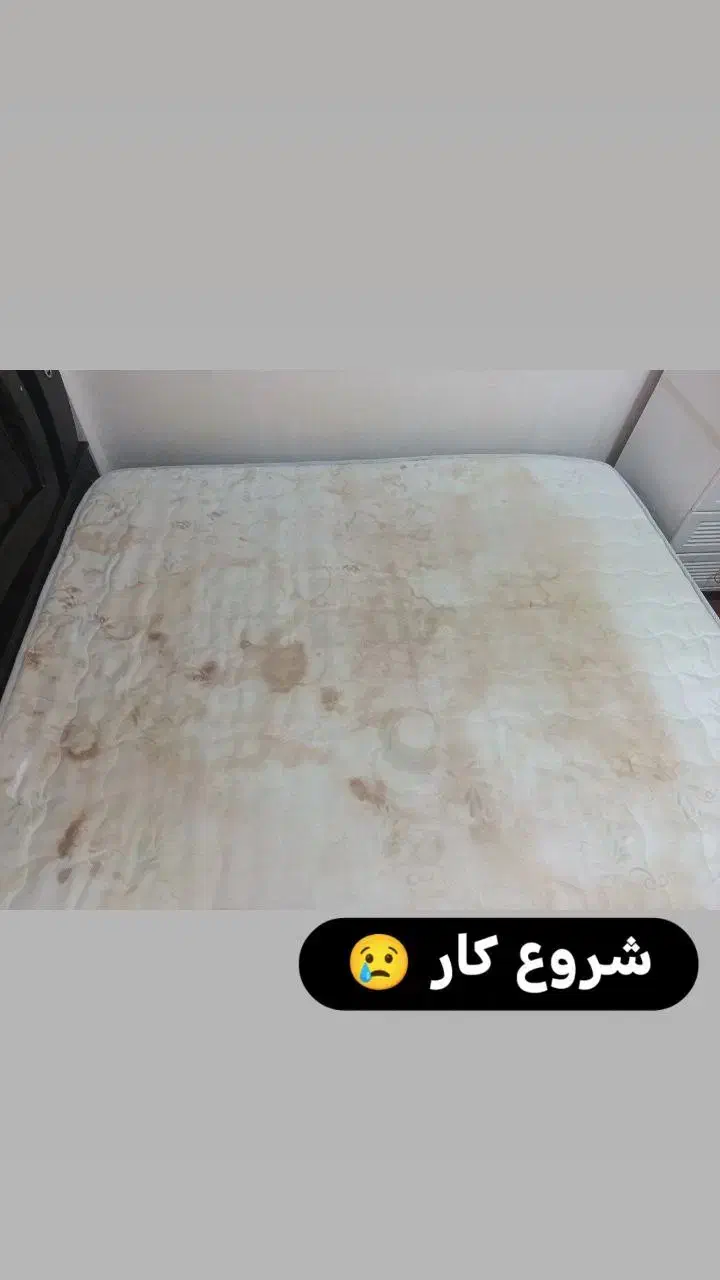 مبل شویی 700 (در تمام نقاط شیراز)|خدمات نظافت|شیراز, ارم|دیوار