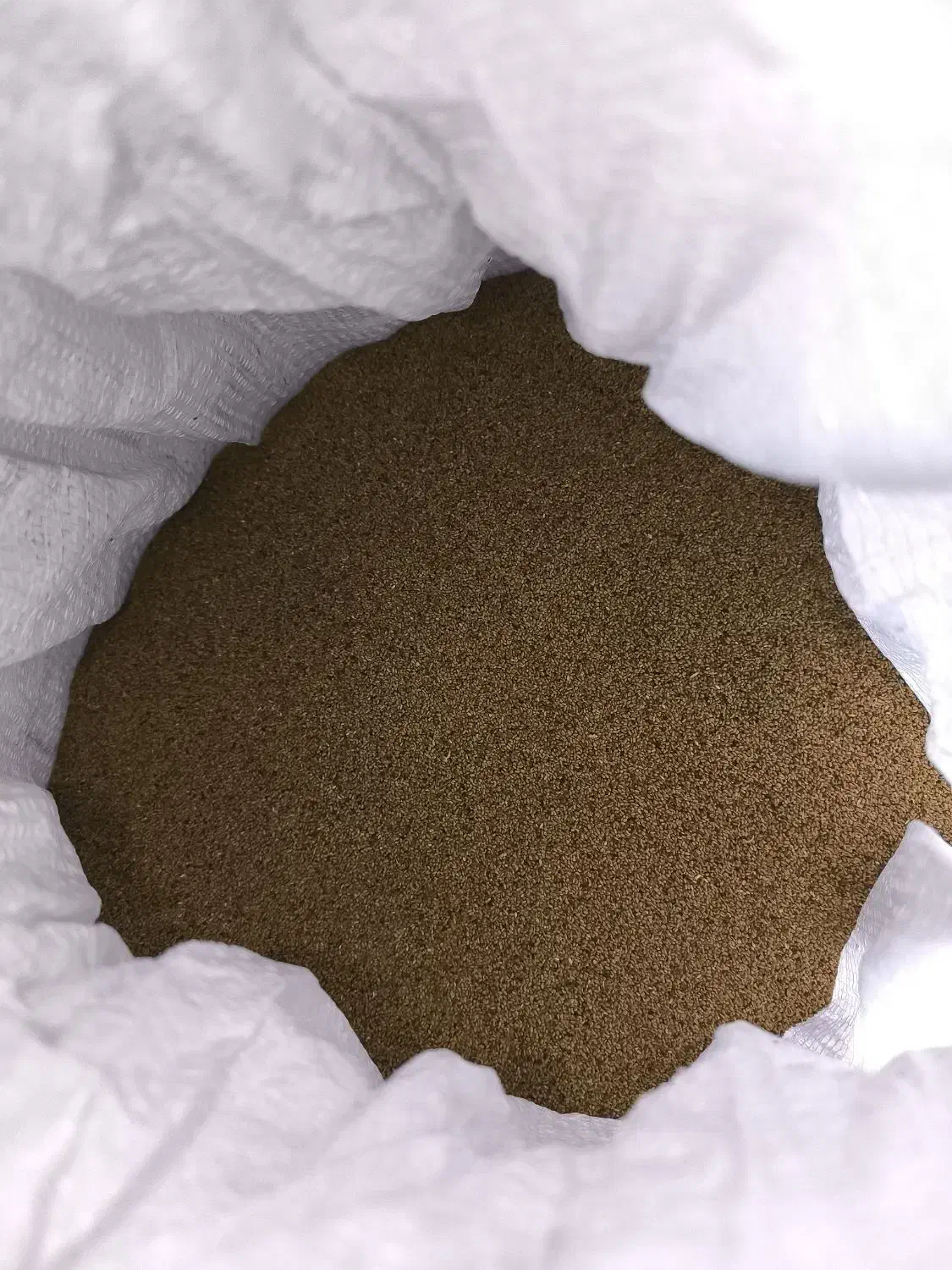 بزر یونجه امریکایی|گل و گیاه طبیعی|شراء, |دیوار