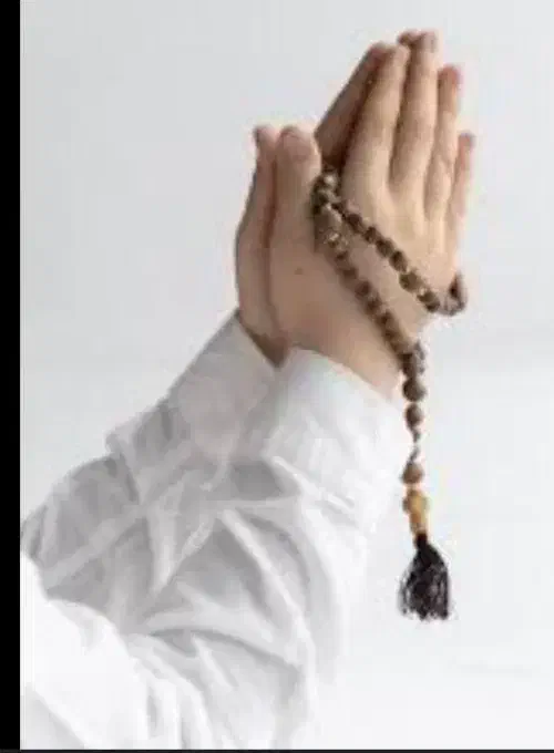 سرکتاب|فعالیت داوطلبانه تحقیقاتی|کرمان, |دیوار