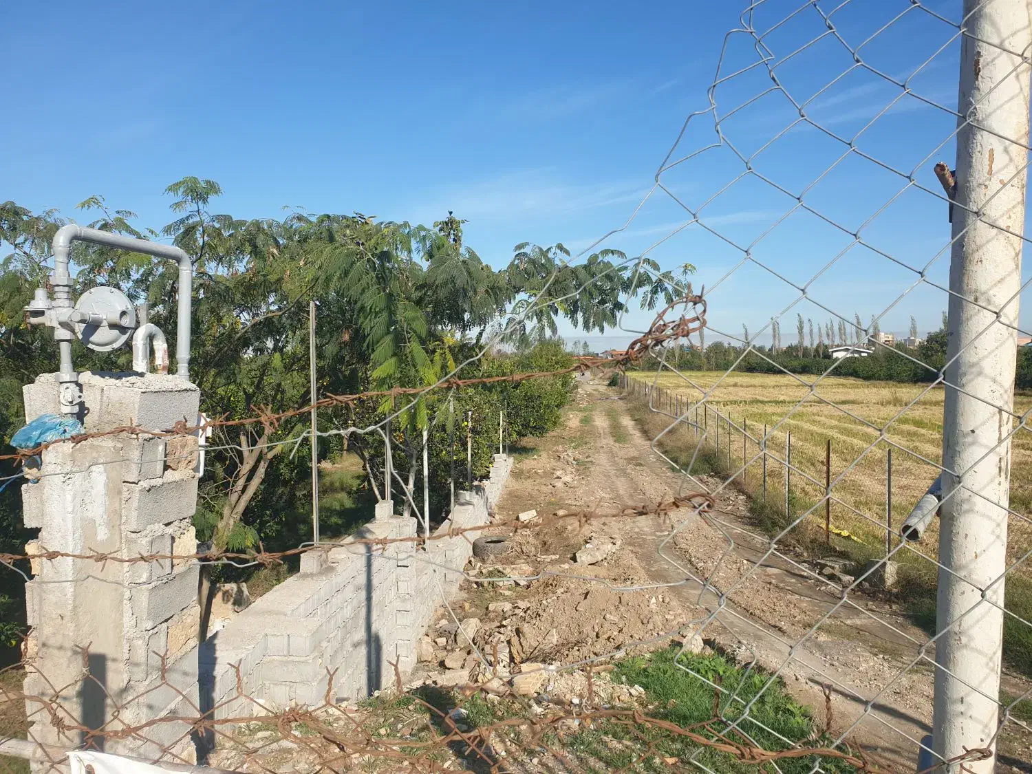 فروش زمین با مجوز گلخانه|فروش زمین و ملک کلنگی|ساری, |دیوار