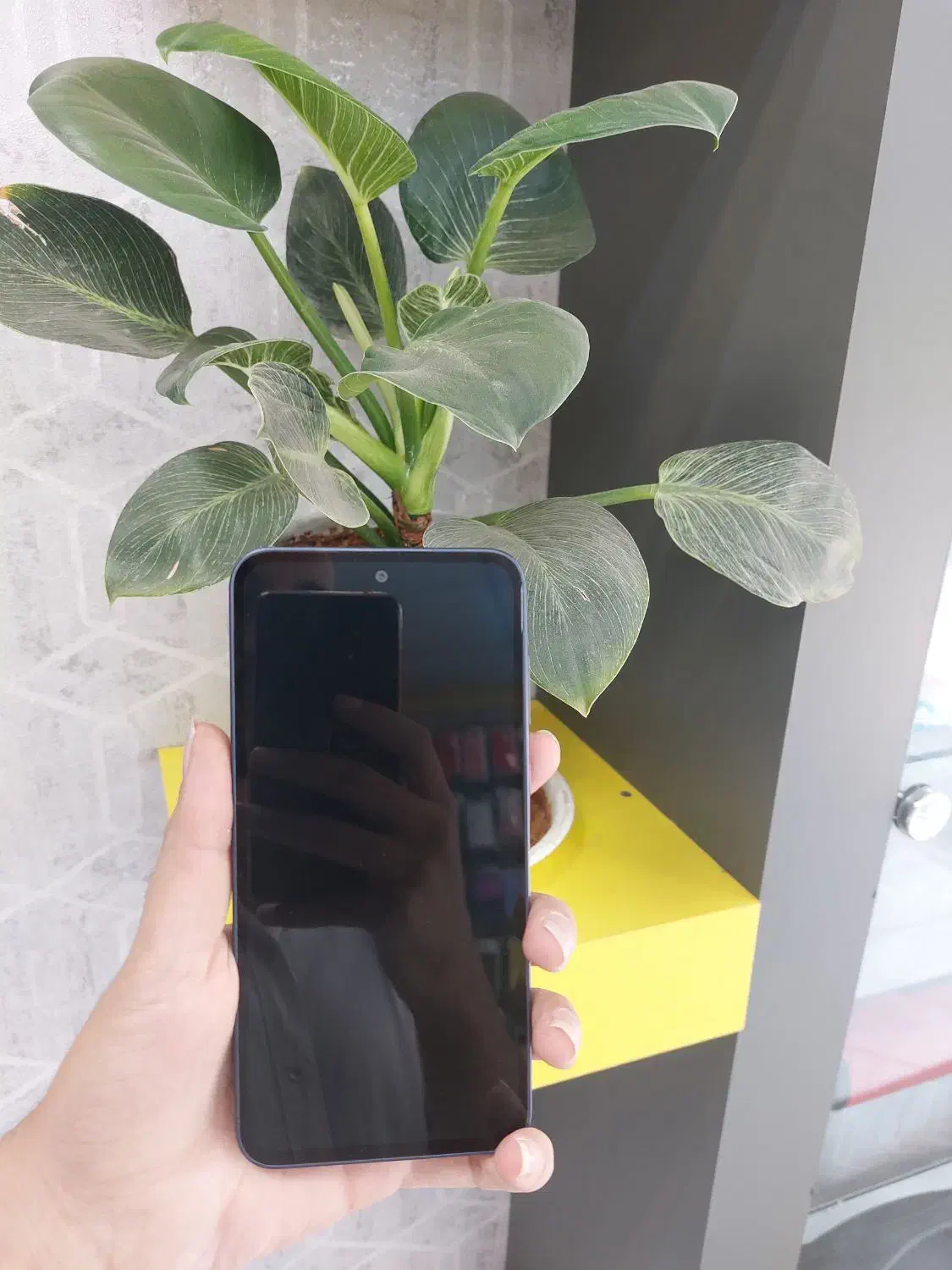 A35حافظه 256رام8|موبایل|بیرجند, |دیوار