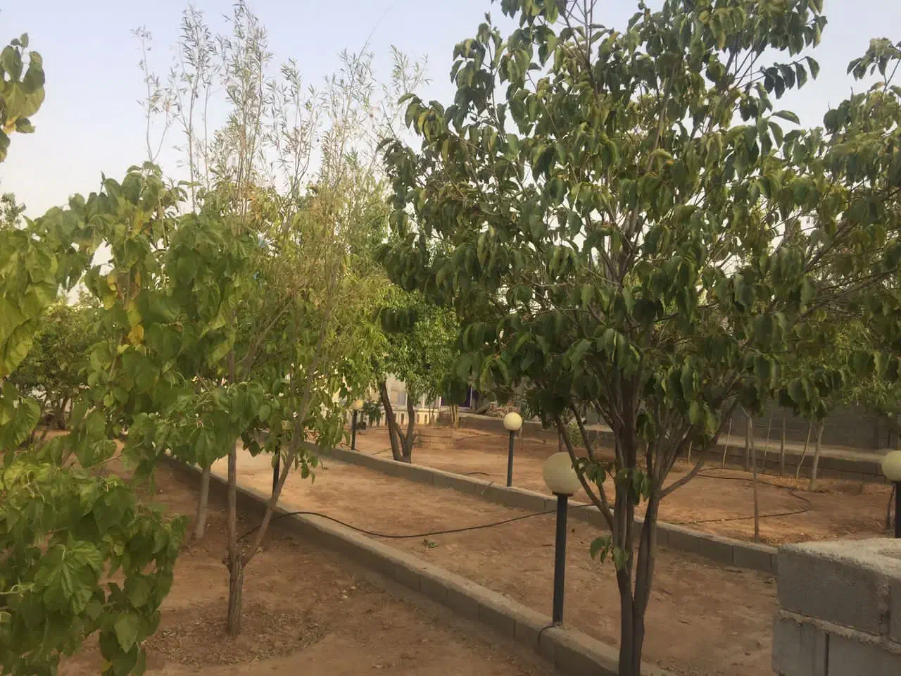 فروش باغ شهری خالداباد|فروش خانه و ویلا|شیراز, سعدیه جنوبی|دیوار