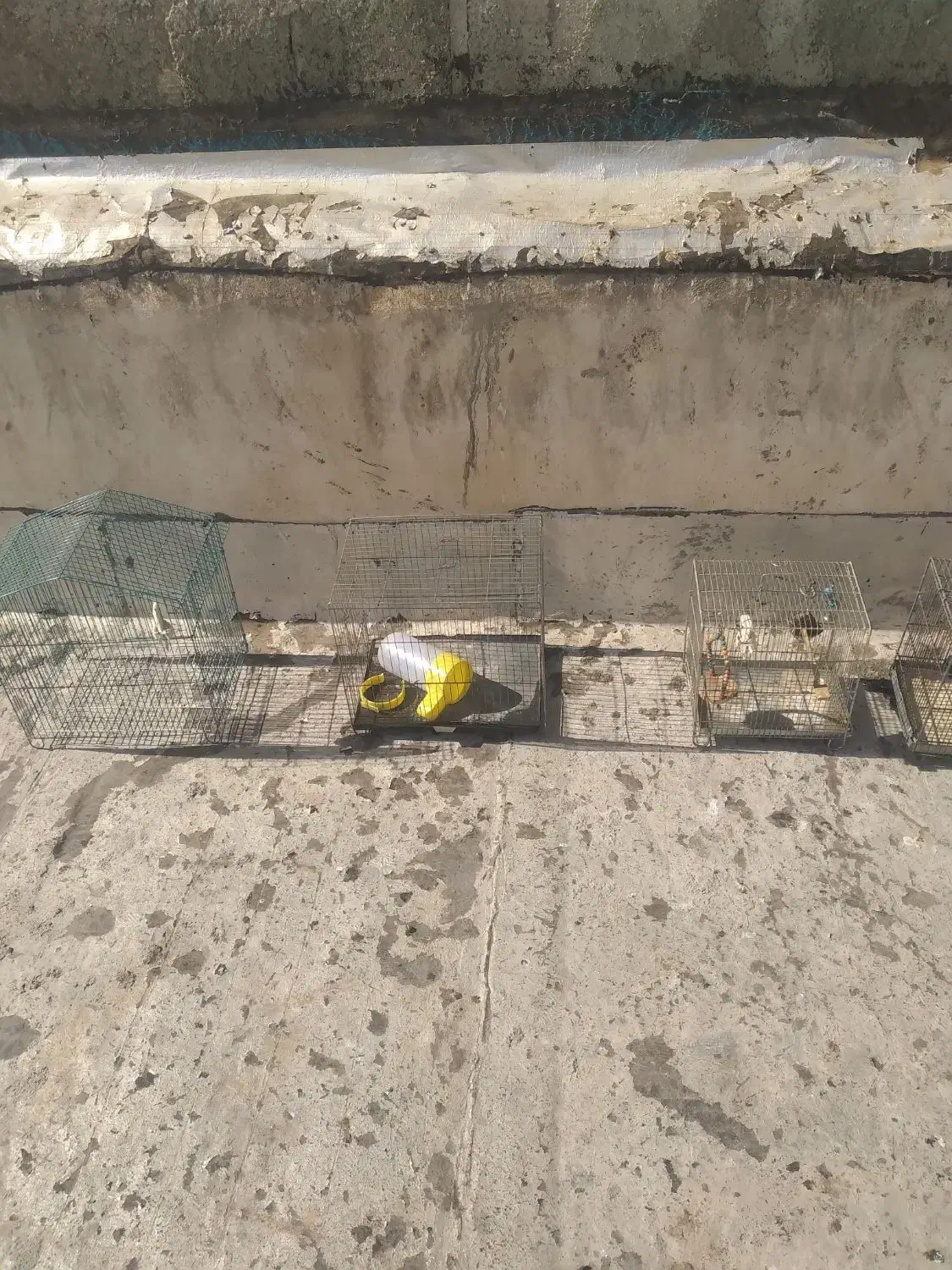 قفس پرنده با وسایل جانبی|لوازم جانبی حیوانات|اندیشه, شهرک مریم|دیوار