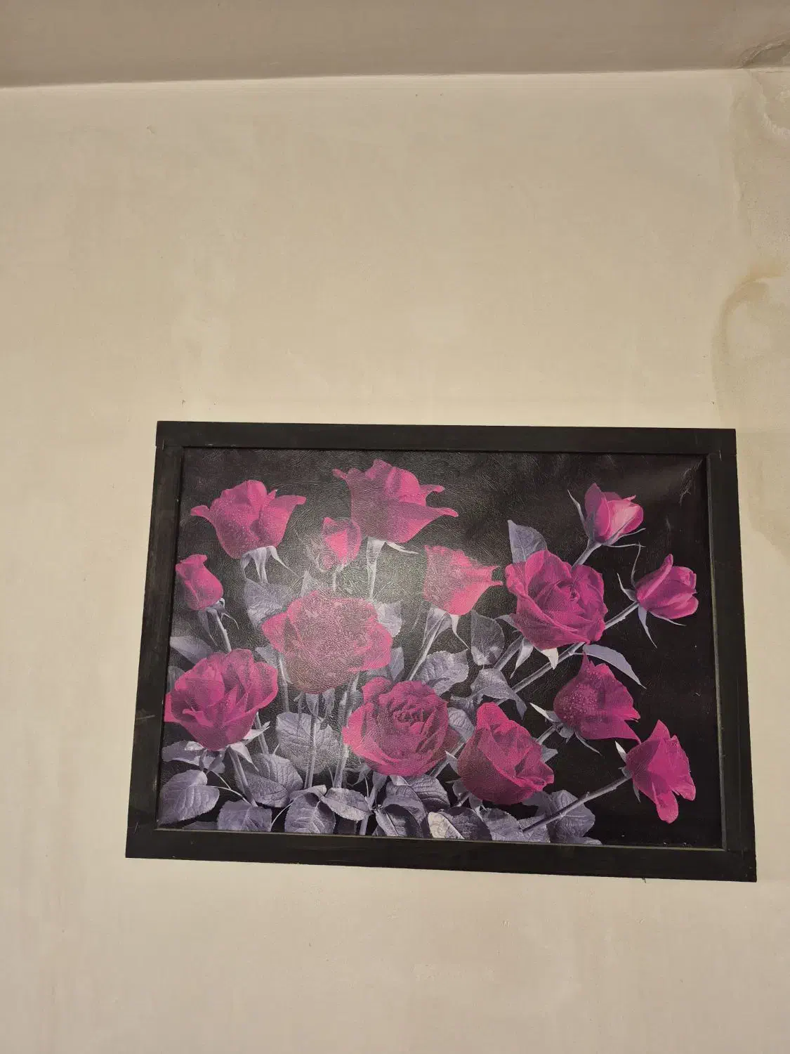 قاب عکس و ان یکاد و چهار قل و گل بنفش|تابلو، نقاشی، عکس|جرقویه, |دیوار