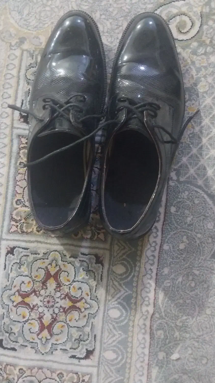 یک جفت کفش پسرانه|کیف، کفش، کمربند|اهواز, سپیدار|دیوار