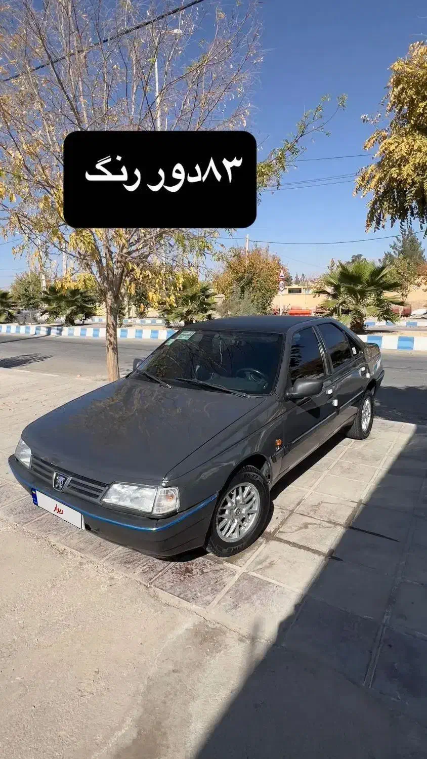 ۴۰۵|خودرو سواری و وانت|چاهک, |دیوار