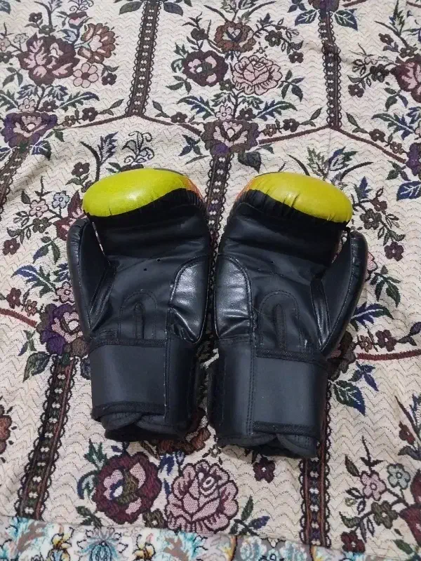 دستکش بوکس|تجهیزات ورزشی|اسلام‌شهر, شهرک واوان|دیوار