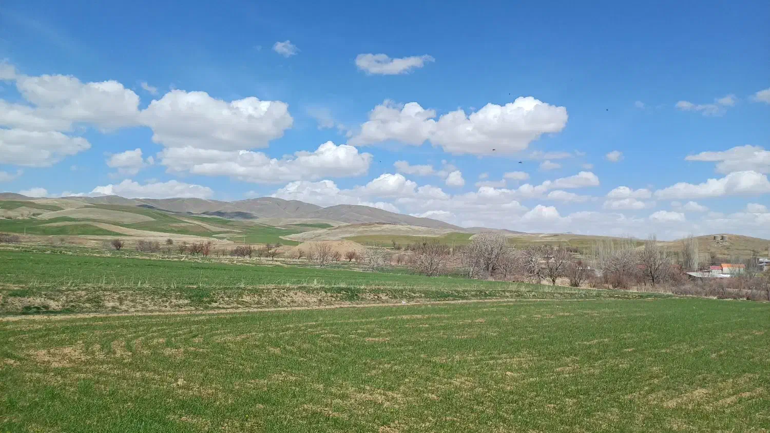 مدارک گم شده...|اشیا|اراک, |دیوار