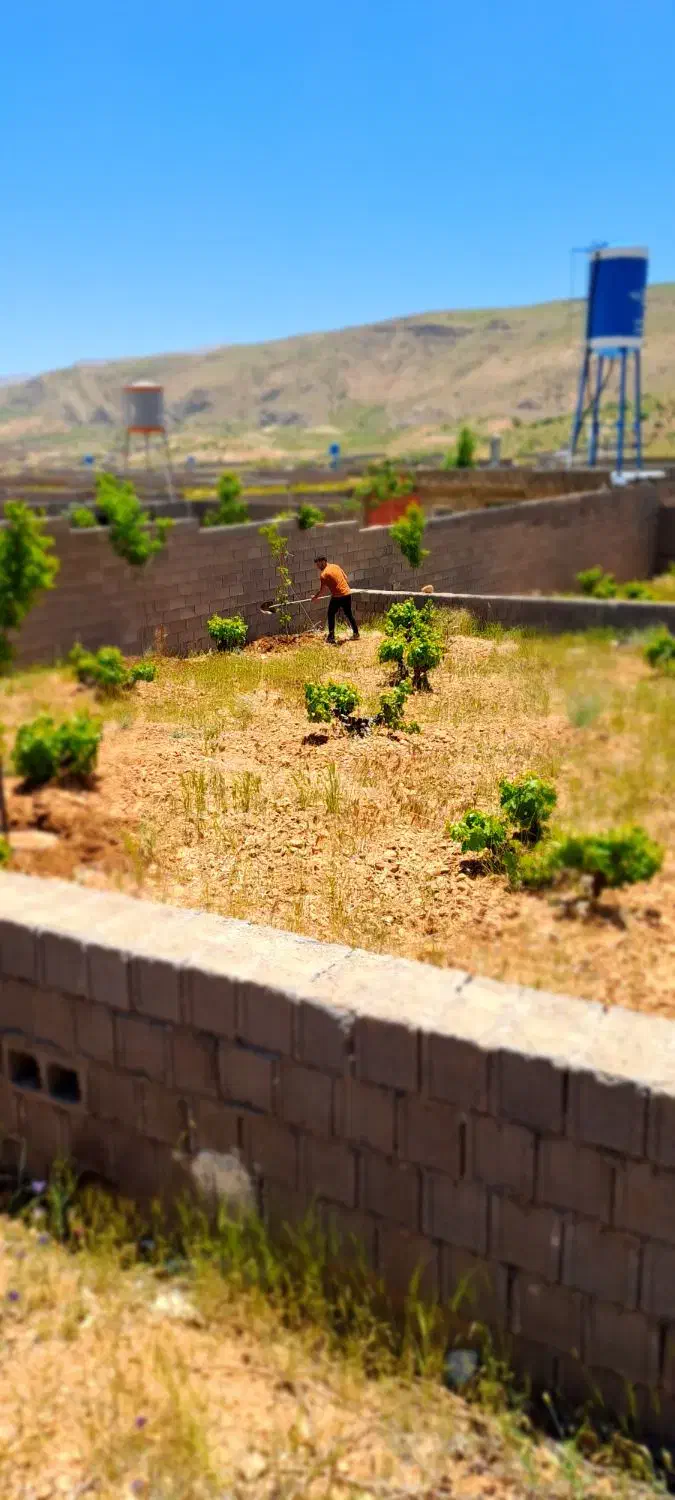 باغ شهری .کلستان|فروش زمین و ملک کلنگی|شیراز, گلستان|دیوار