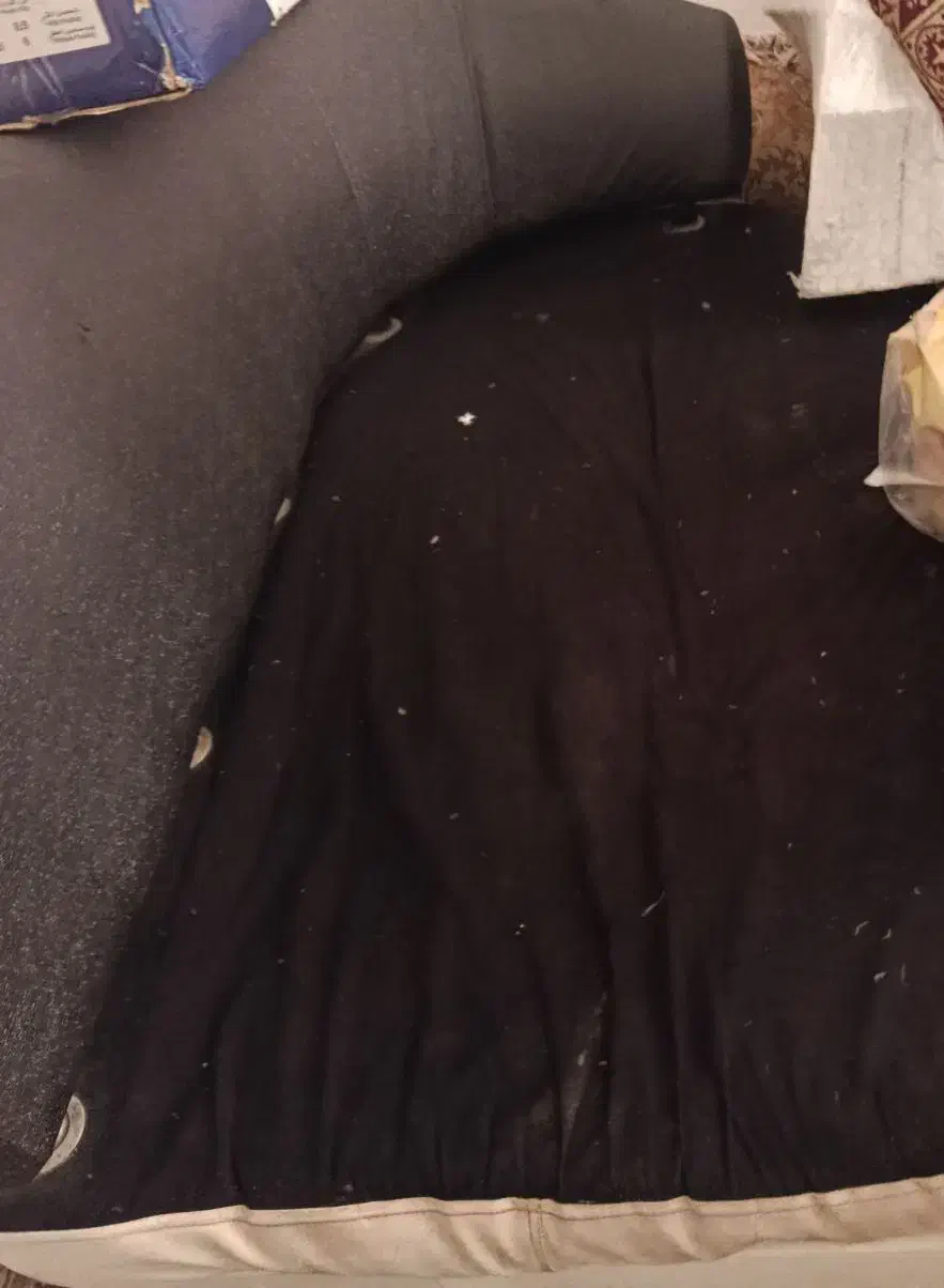 مبل دونفره|مبلمان خانگی و میز عسلی|زاهدان, |دیوار