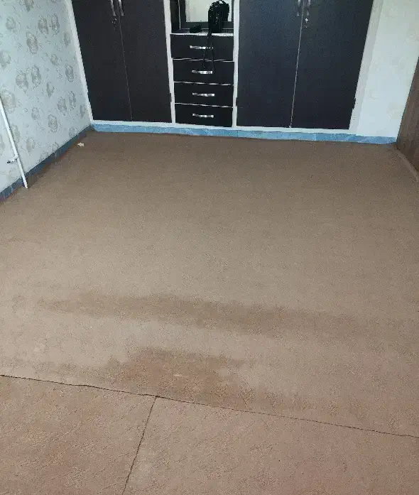 موکت در حد نو|موکت|همدان, |دیوار