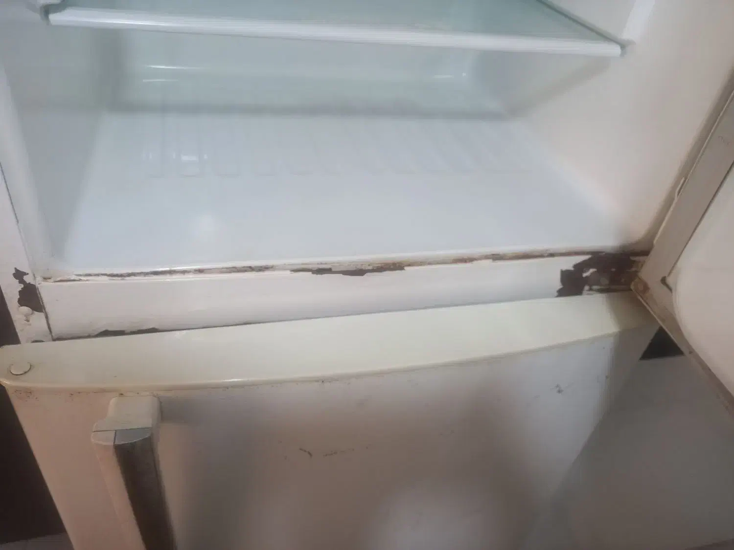 یخچال|یخچال و فریزر|ماهدشت, |دیوار