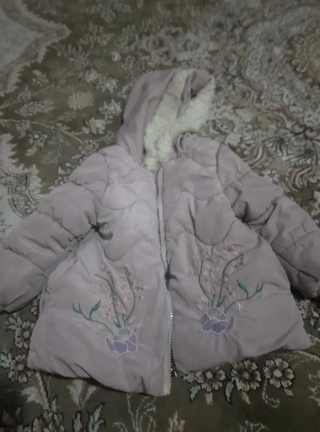 کت وپالتو|لباس|زاهدان, |دیوار