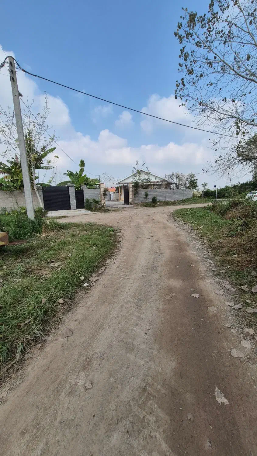 زمین جنگلی با نامه بنیاد مسکن|فروش زمین و ملک کلنگی|رشت, بازار|دیوار