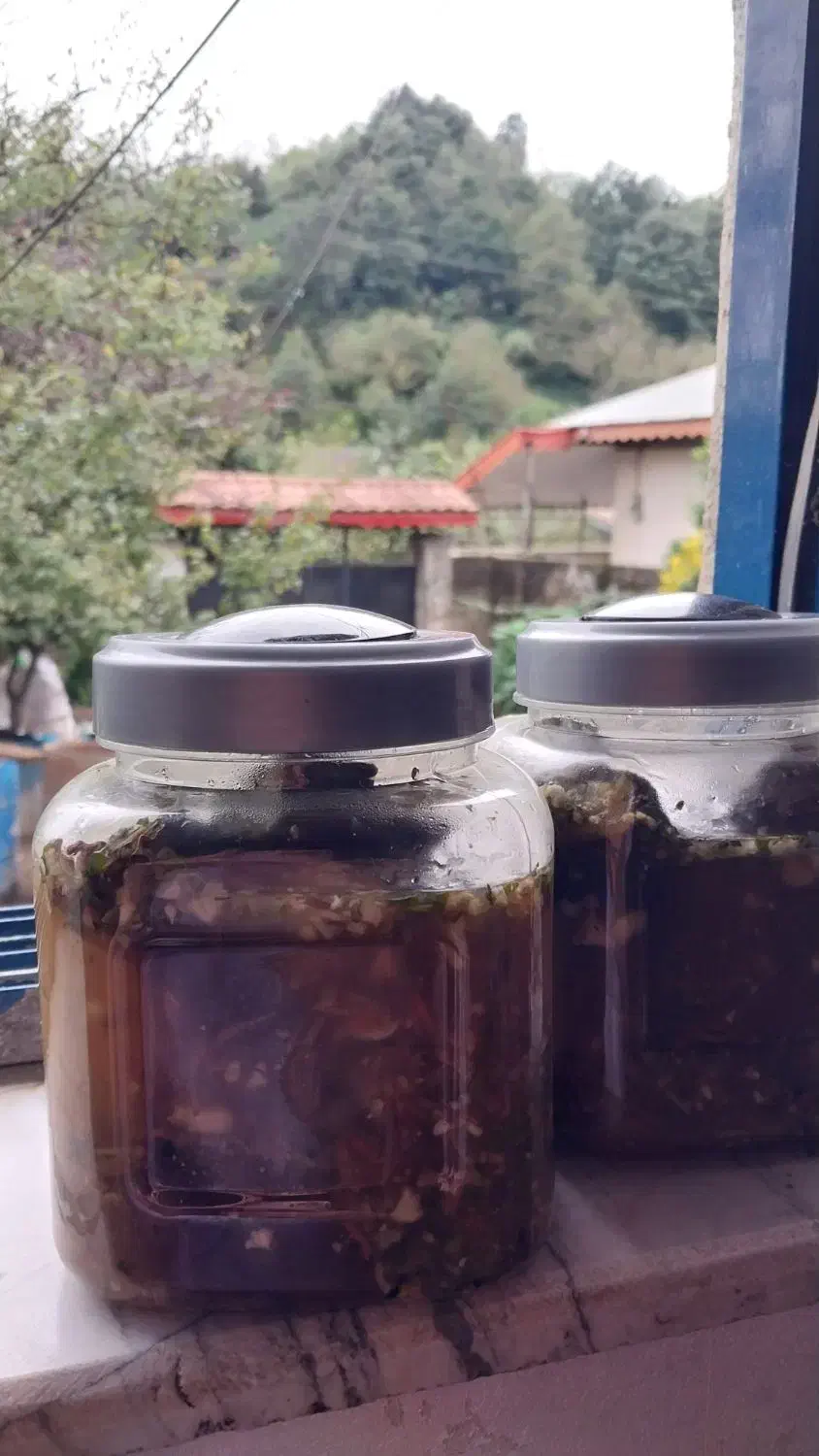 ترش و ملس|خوردنی و آشامیدنی|لاهیجان, یحی آباد|دیوار