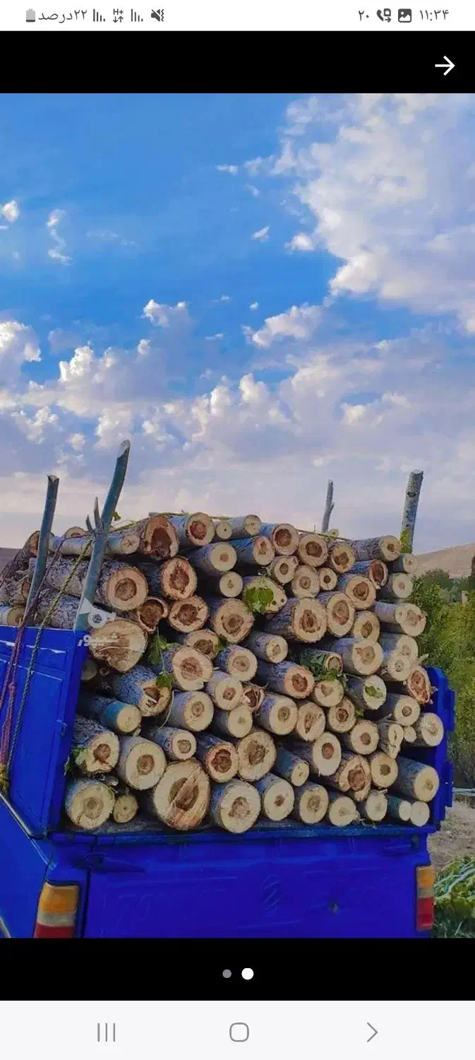 خریدار انواع چوب تر خشک  سقفی|خدمات باغبانی و درختکاری|صحنه, |دیوار