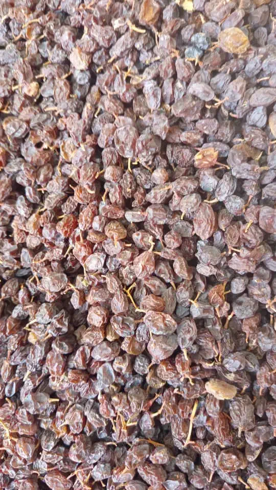 مویز و کشمش مرغوب|عمده‌فروشی|استهبان, |دیوار