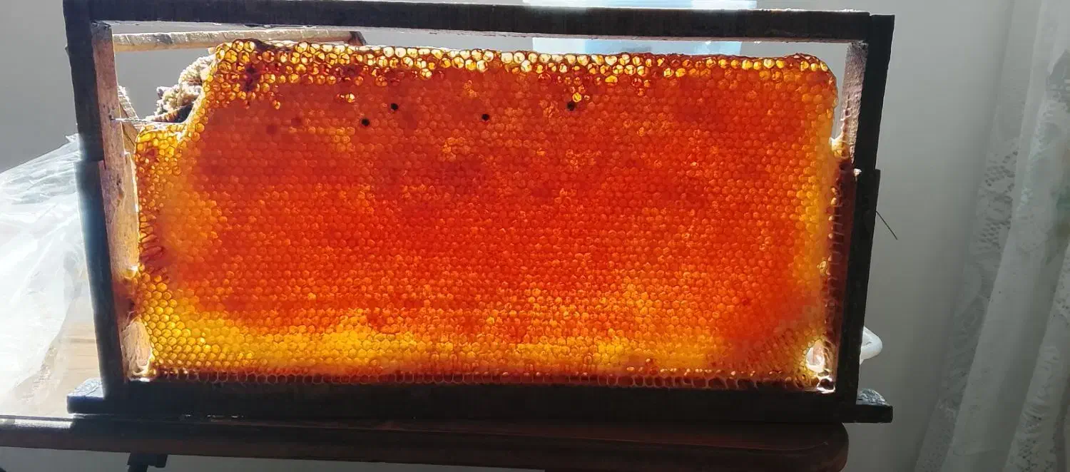 عسل کوهستان|خوردنی و آشامیدنی|کلیبر, |دیوار