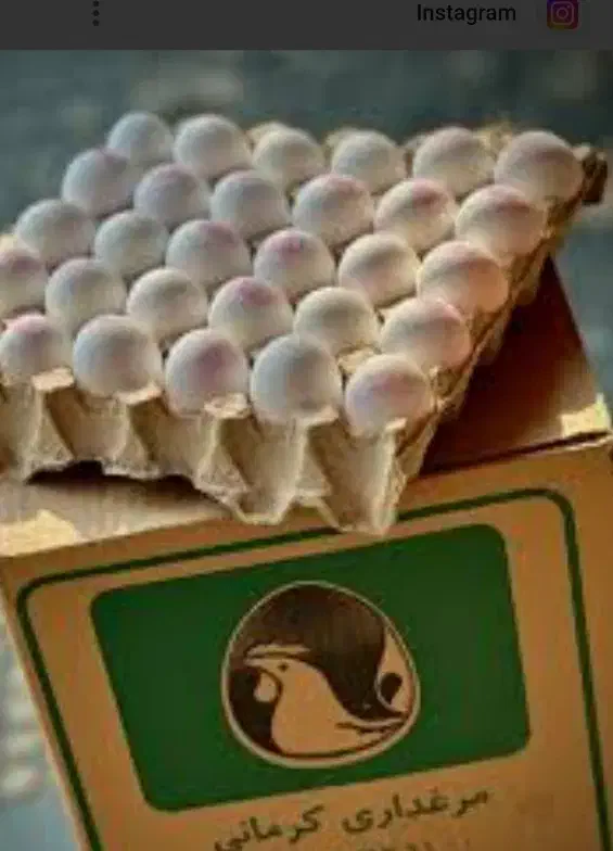 پخش تخم مرغ بالای 5 کارتن تحویل لوکیشن|خوردنی و آشامیدنی|کرج, نوروزآباد|دیوار