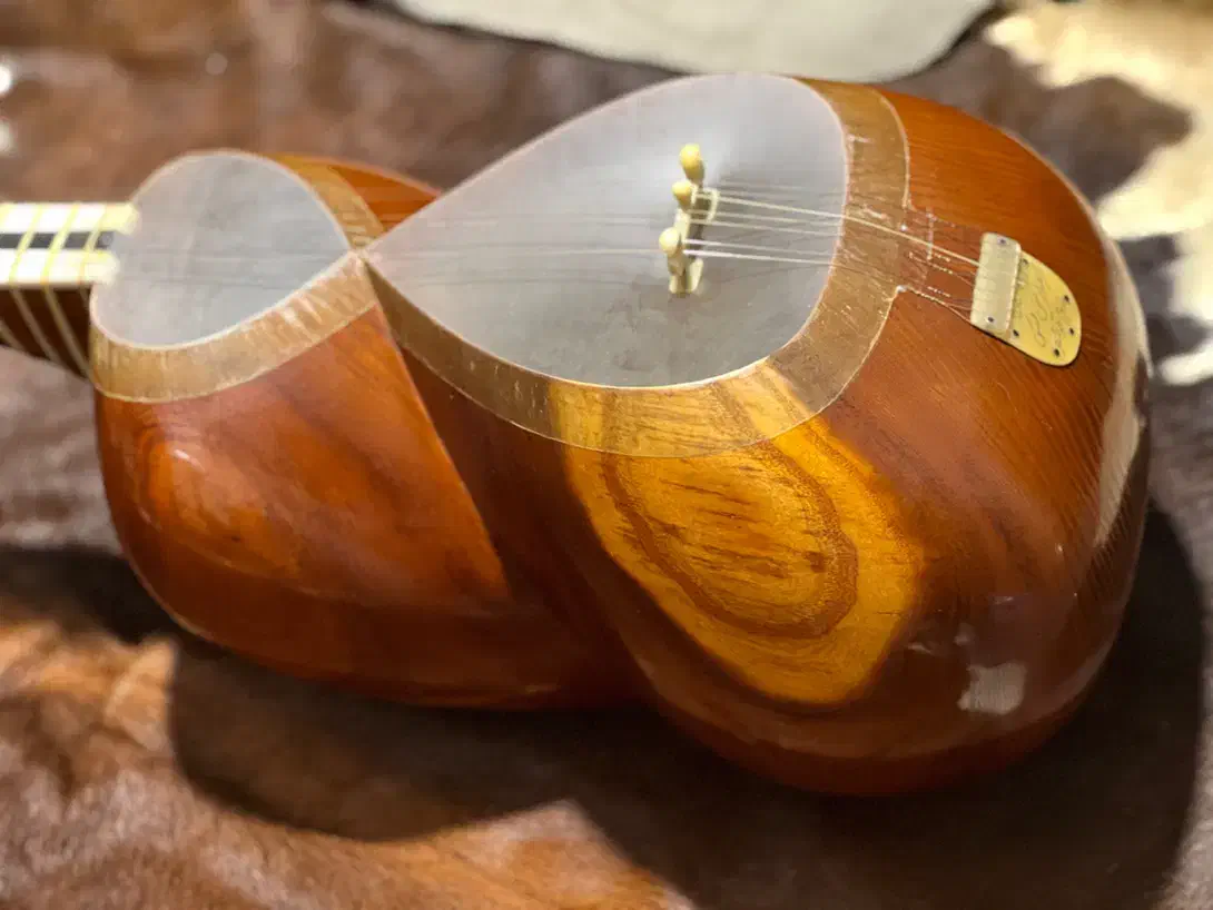 تار کارگاهی فرهنگیان با کیفیت و قیمت مناسب|سازهای سنتی|تهران, تهرانسر غربی|دیوار