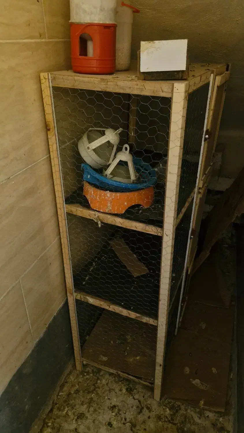 قفس|لوازم جانبی حیوانات|ایذه, |دیوار