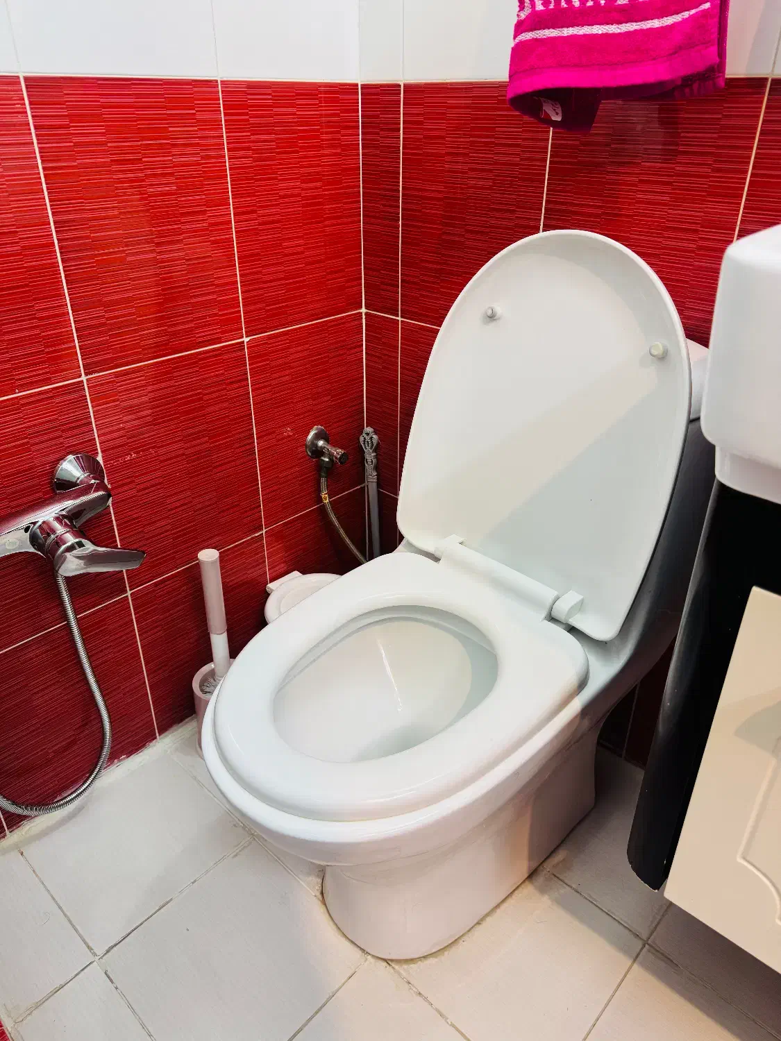 توالت فرنگی|لوازم سرویس بهداشتی|صدرا-فارس, فاز ۱|دیوار