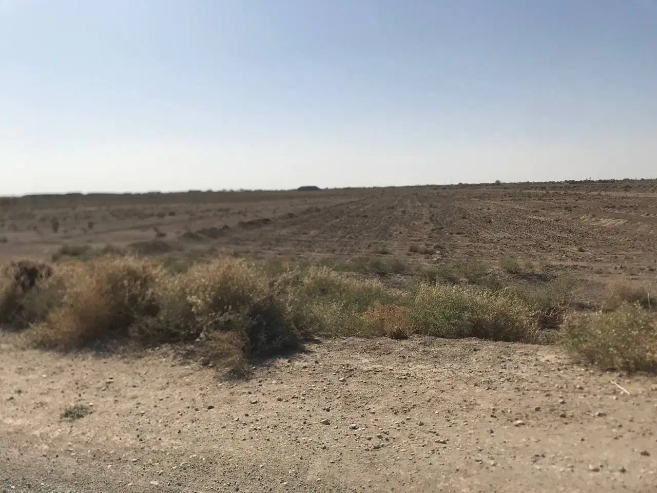 زمین بدون آب ۸۱ من|فروش زمین و ملک کلنگی|ششطراز, |دیوار