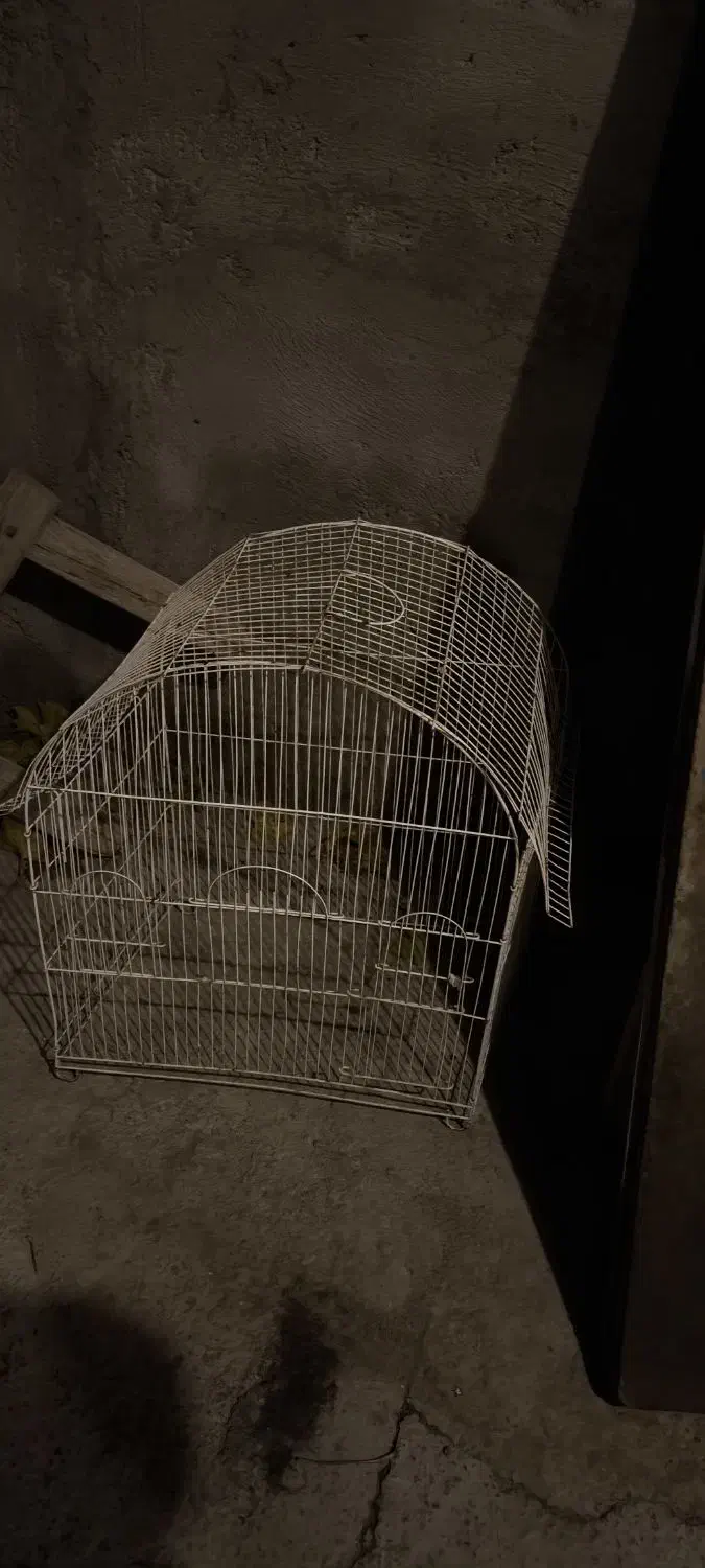 قفس عروس هلندی|لوازم جانبی حیوانات|آذرشهر, |دیوار