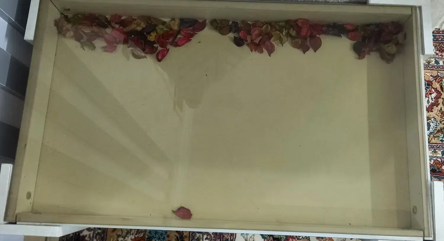 ۳تا میز جلو مبلی|مبلمان خانگی و میز عسلی|مشهد, حضرت حجت|دیوار