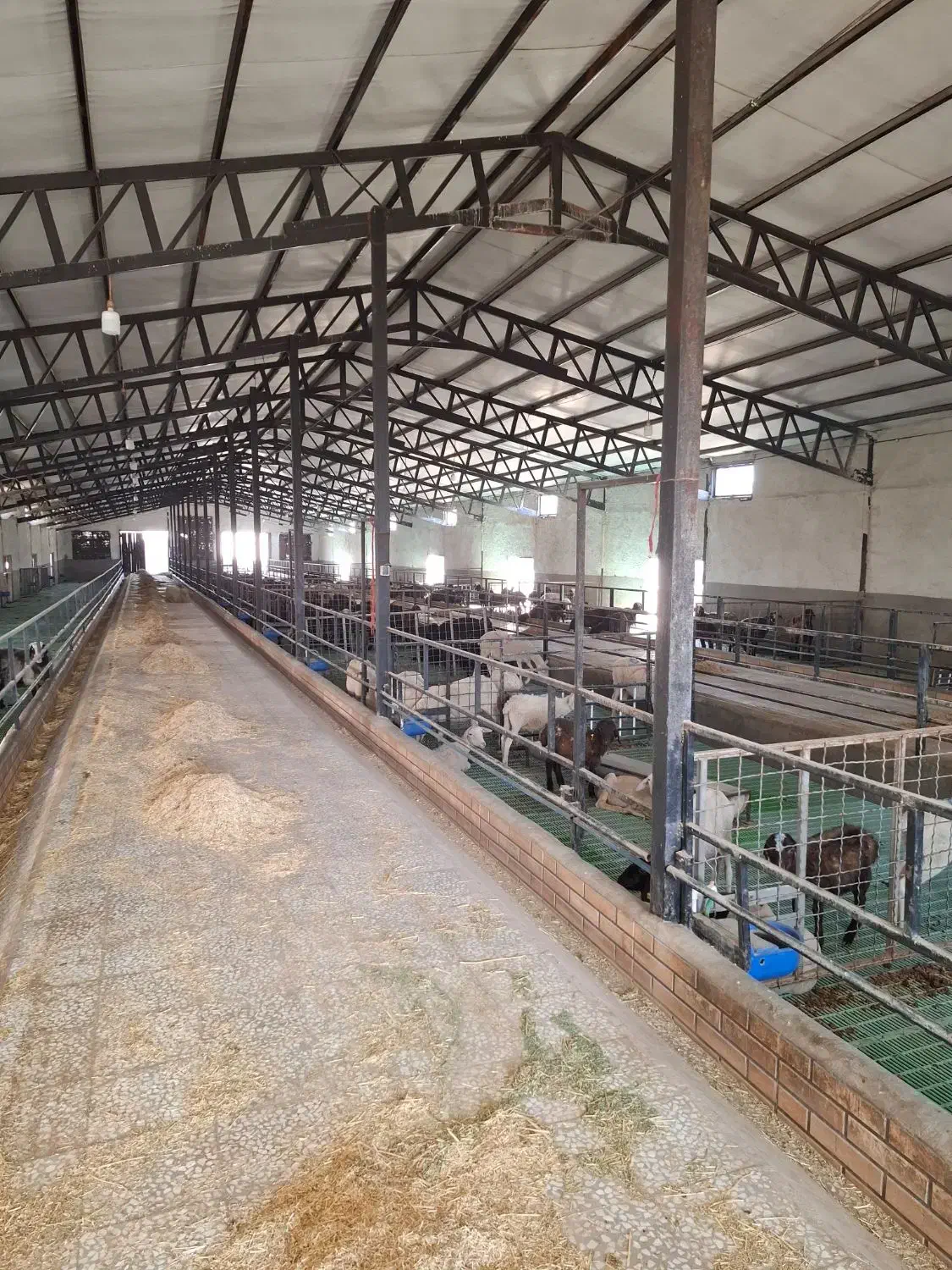 کارگر در دامداری|استخدام سرایداری و نظافت|کاشان, مشکات|دیوار