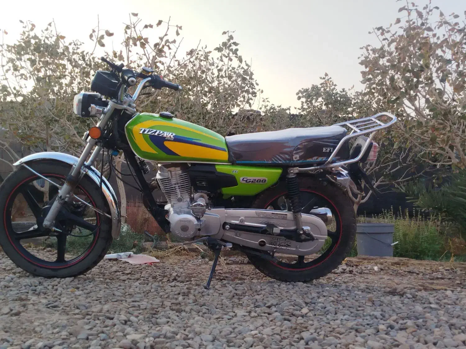 موتور ۲۰۰تیزپر|موتورسیکلت|جنگل, |دیوار