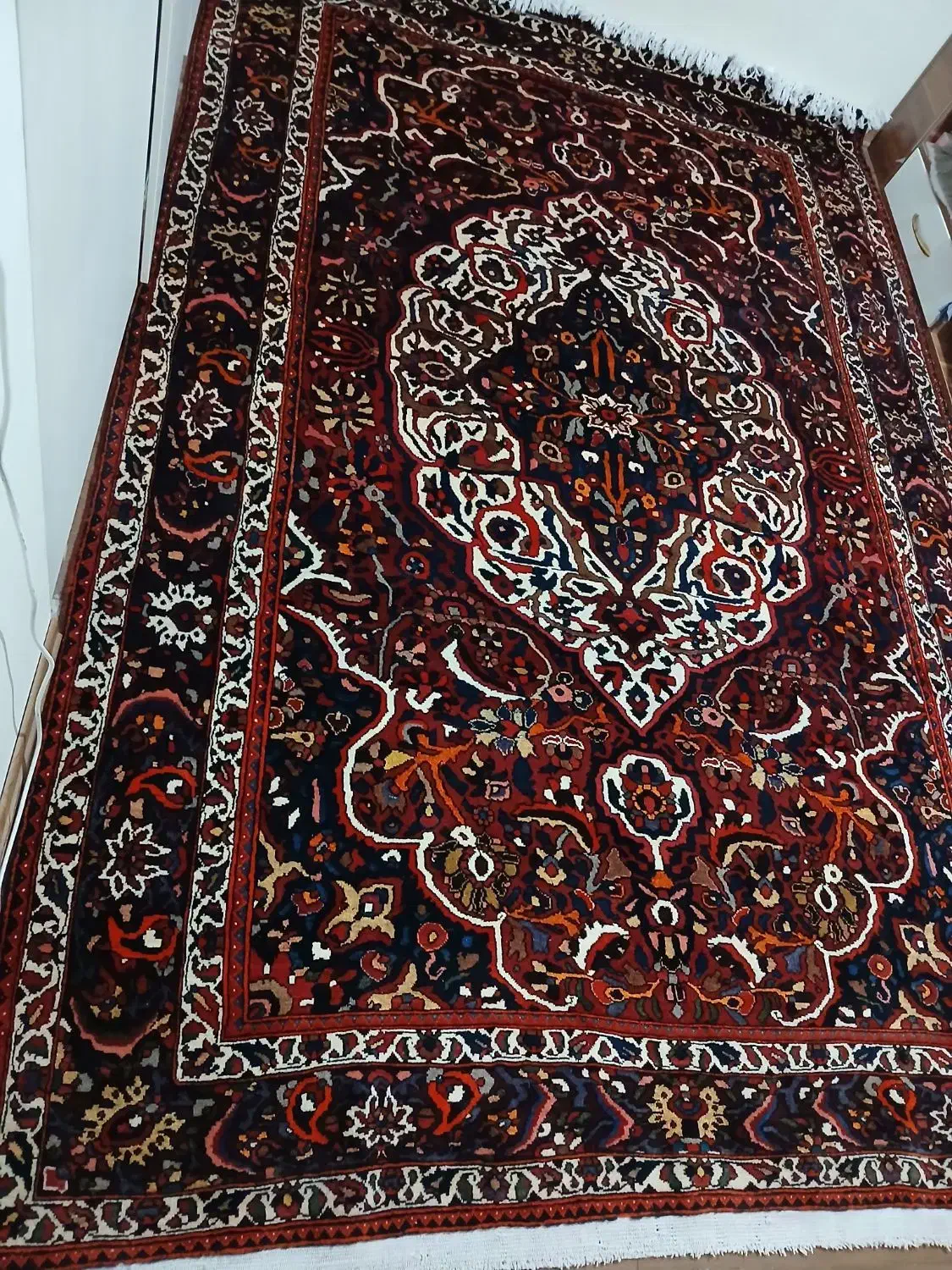 بختیار گوشتدار شور رفته|فرش|کرج, ساسانی (قلمستان)|دیوار