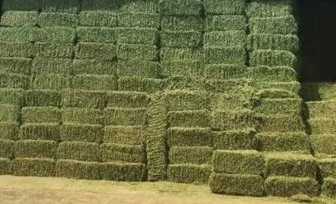 یونجه پرس شده|لوازم جانبی حیوانات|بوشهر, |دیوار