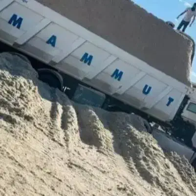 باگاس نیشکر|حیوانات مزرعه|مرودشت, تخت جمشید|دیوار