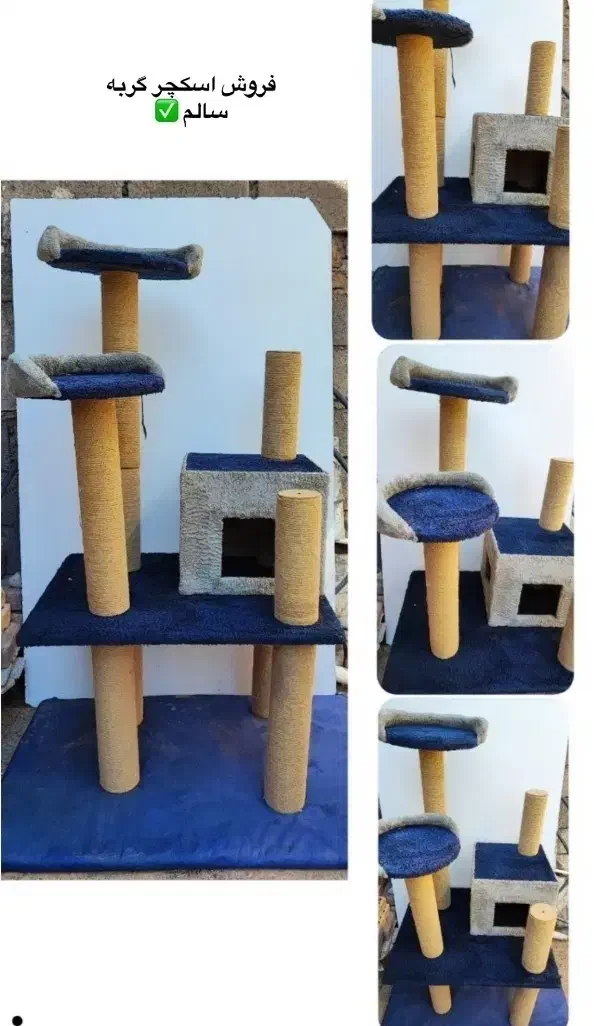 اسکرچر گربه|لوازم جانبی حیوانات|تربت جام, باغ سنگان سفلی|دیوار