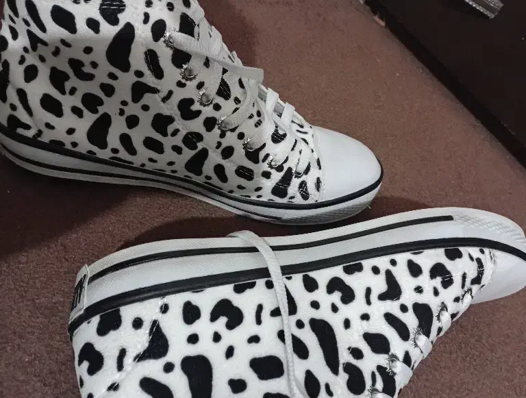 کفش|کیف، کفش، کمربند|تربت جام, بوستان وحدت|دیوار