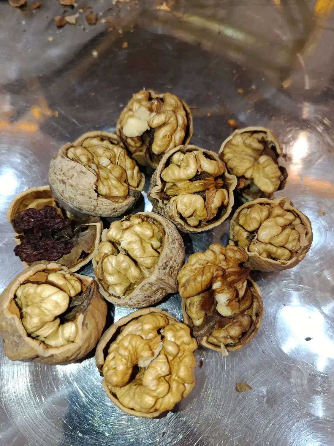 گردو لوکس کمندان|خوردنی و آشامیدنی|ازنا, |دیوار