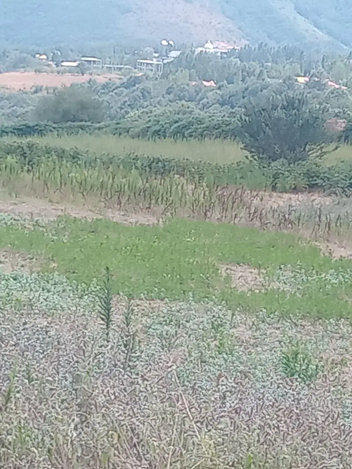 1000mزمین 60mقابل ساخت گردنه حیران|فروش زمین و ملک کلنگی|آستارا, |دیوار