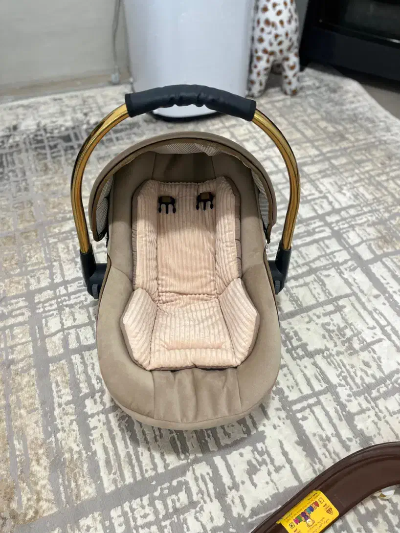 کالسکه|کالسکه و لوازم جانبی|نیشابور, شهرک قدس|دیوار