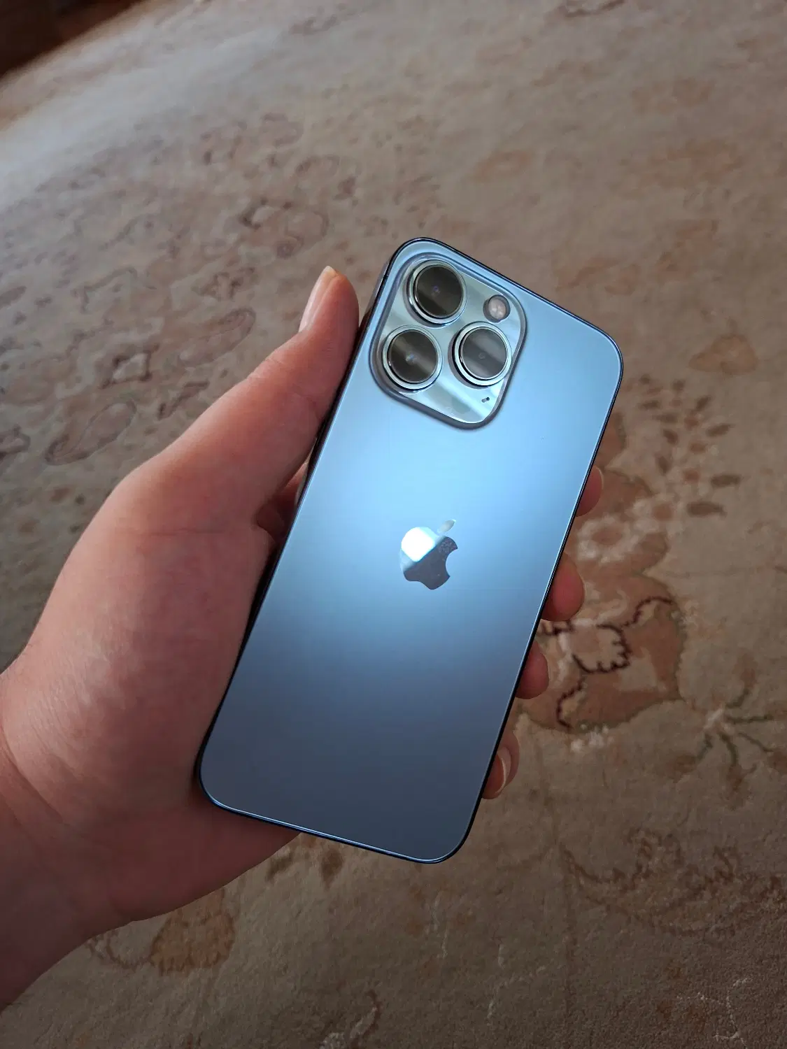 IPhone 13pro 256|موبایل|آمل, |دیوار