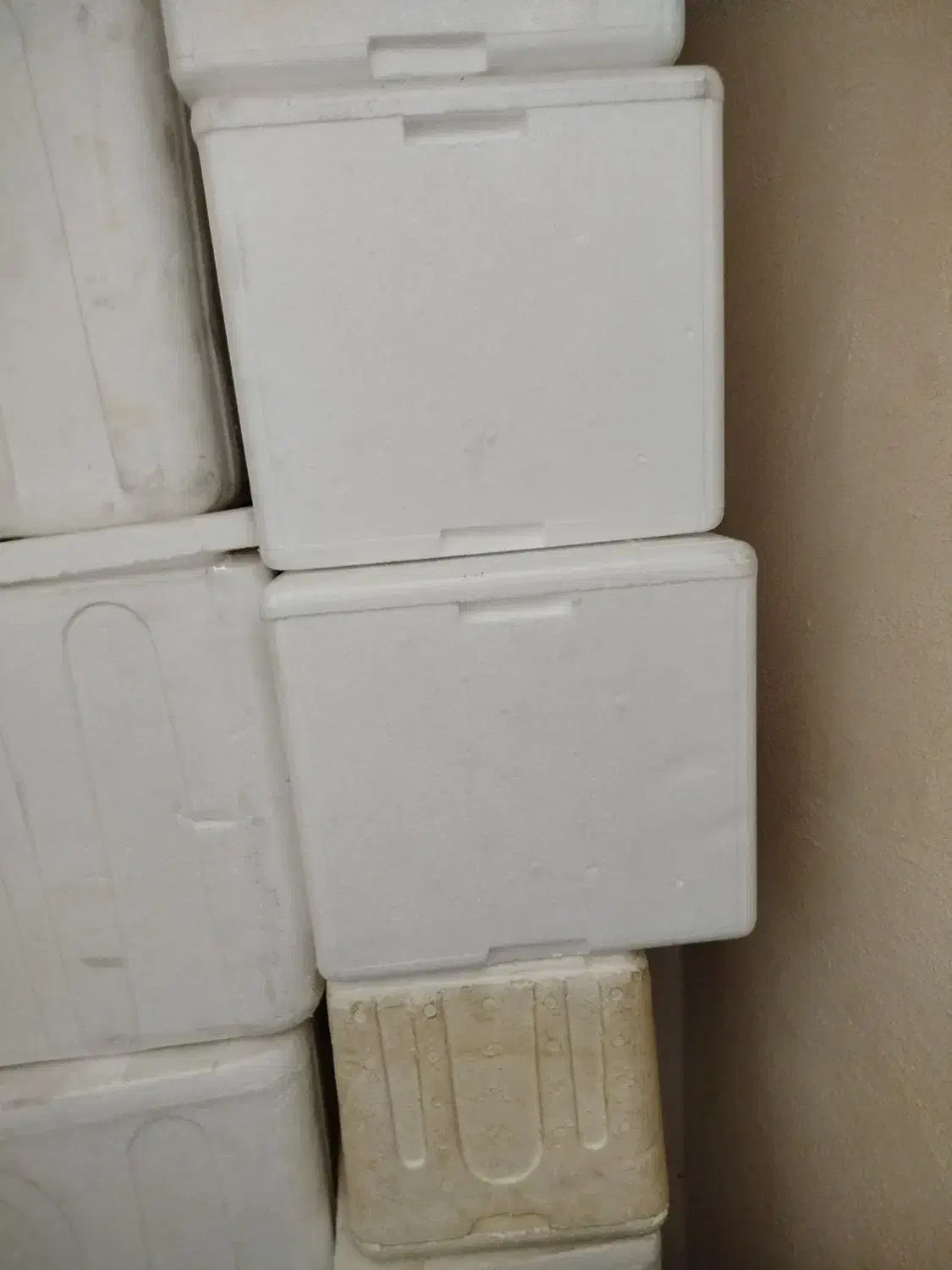 یونولیت|سایر لوازم برقی|بندرعباس, |دیوار