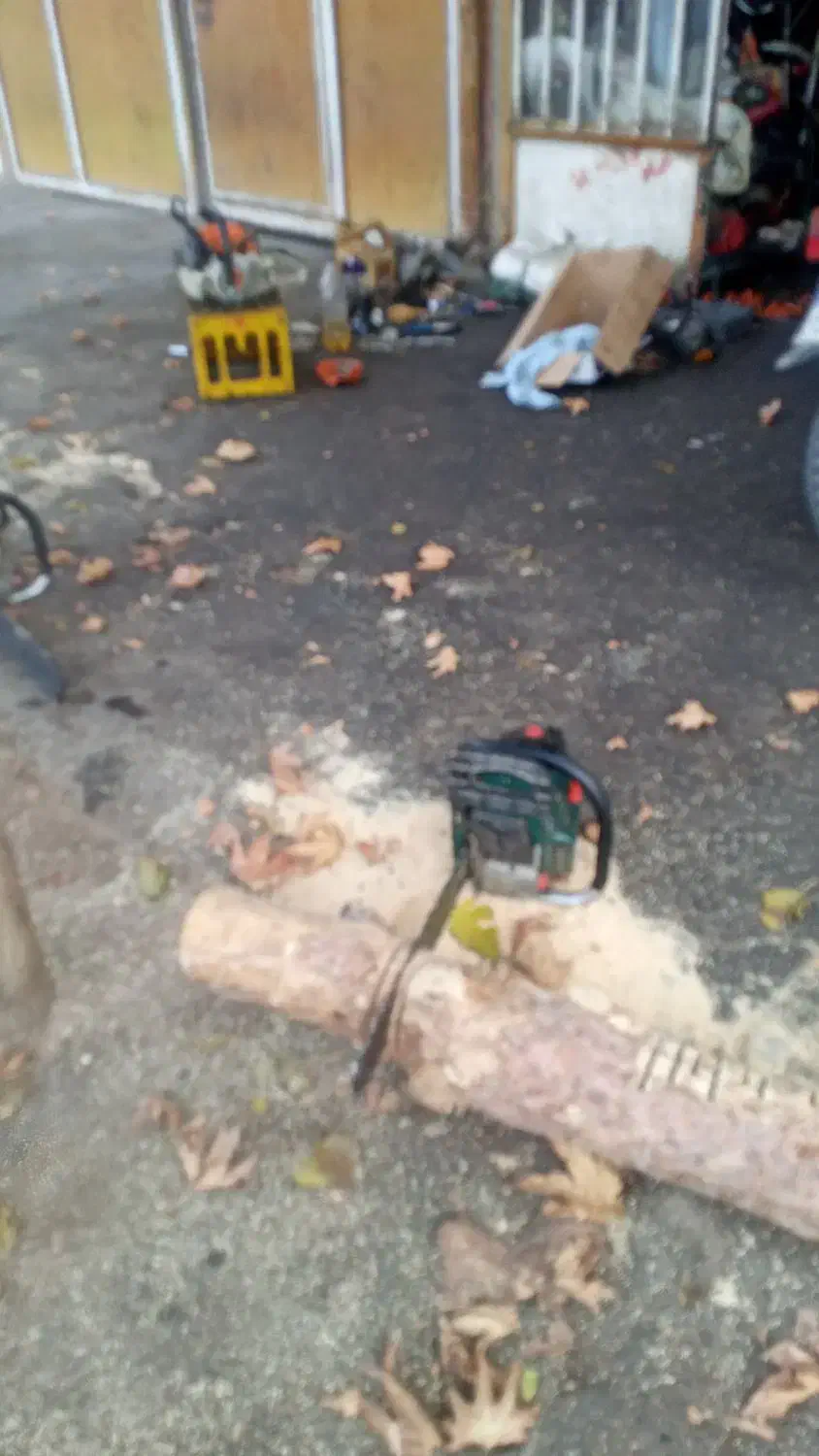 اره برقی کرایه ای|ابزارآلات|سبزوار, شهرک صنعتی خاوران|دیوار