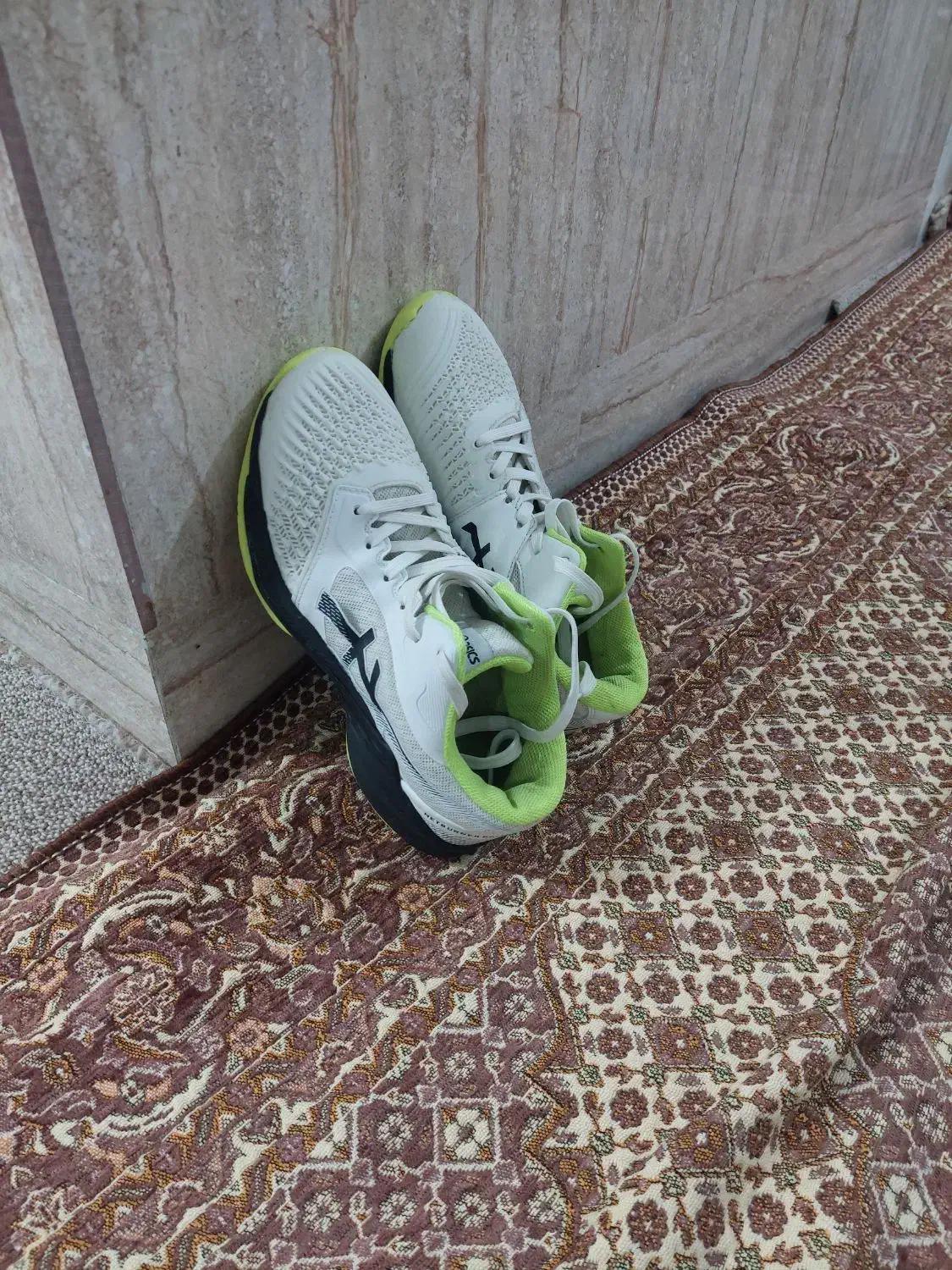 کفش والیبال|کیف، کفش، کمربند|گمیشان, |دیوار