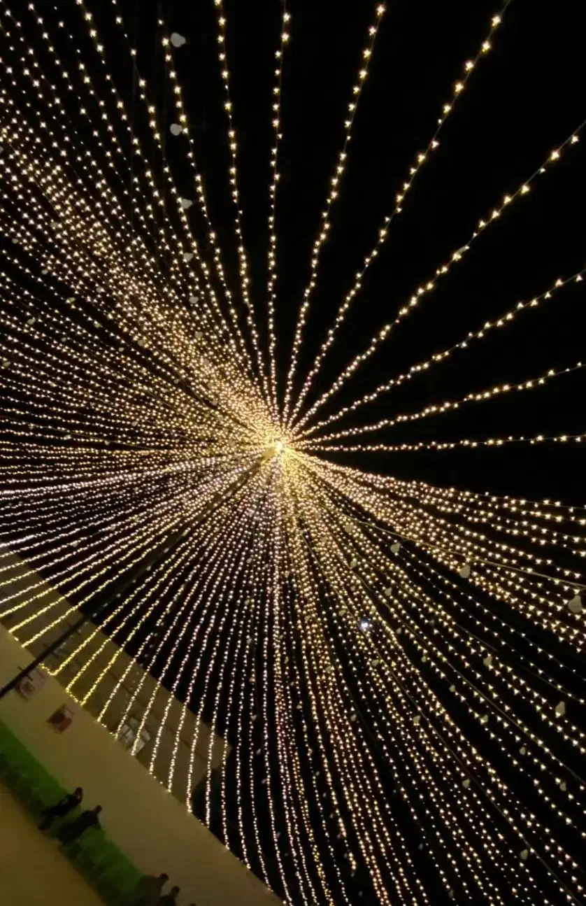 ریسه رنگی و روشنایی|ریسه و چراغ تزئینی|بندرعباس, |دیوار