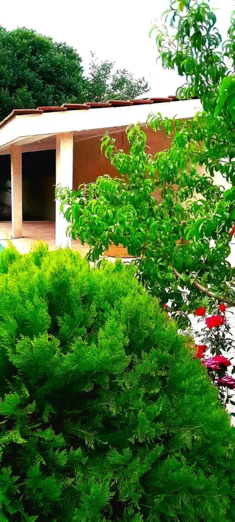 ویلایی های مستقلاتی برای مسکونی و اداری|اجارهٔ خانه و ویلا|مشهد, آزادشهر|دیوار