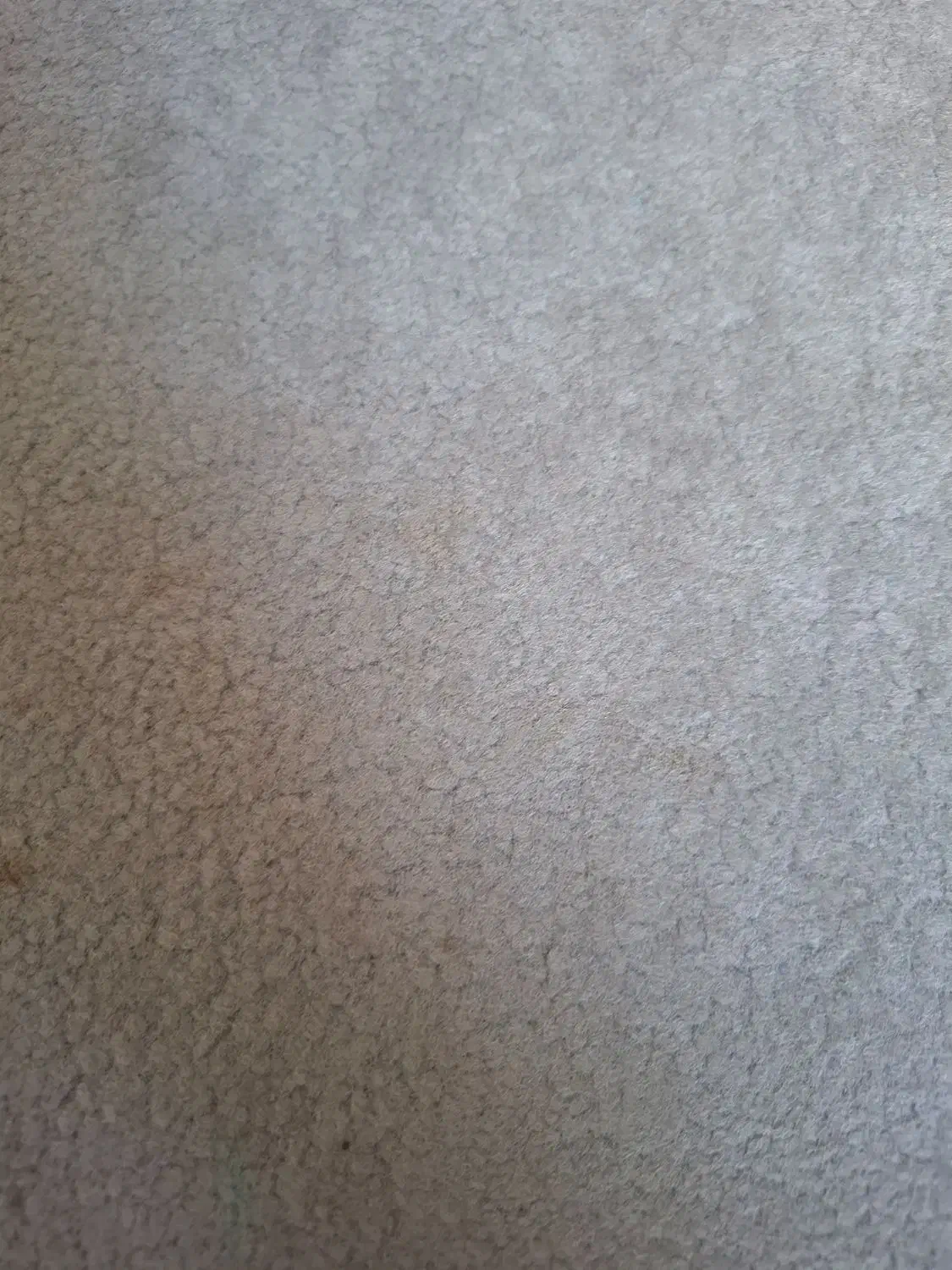 پالازموکت رنگ خاکستری|موکت|بوشهر, |دیوار