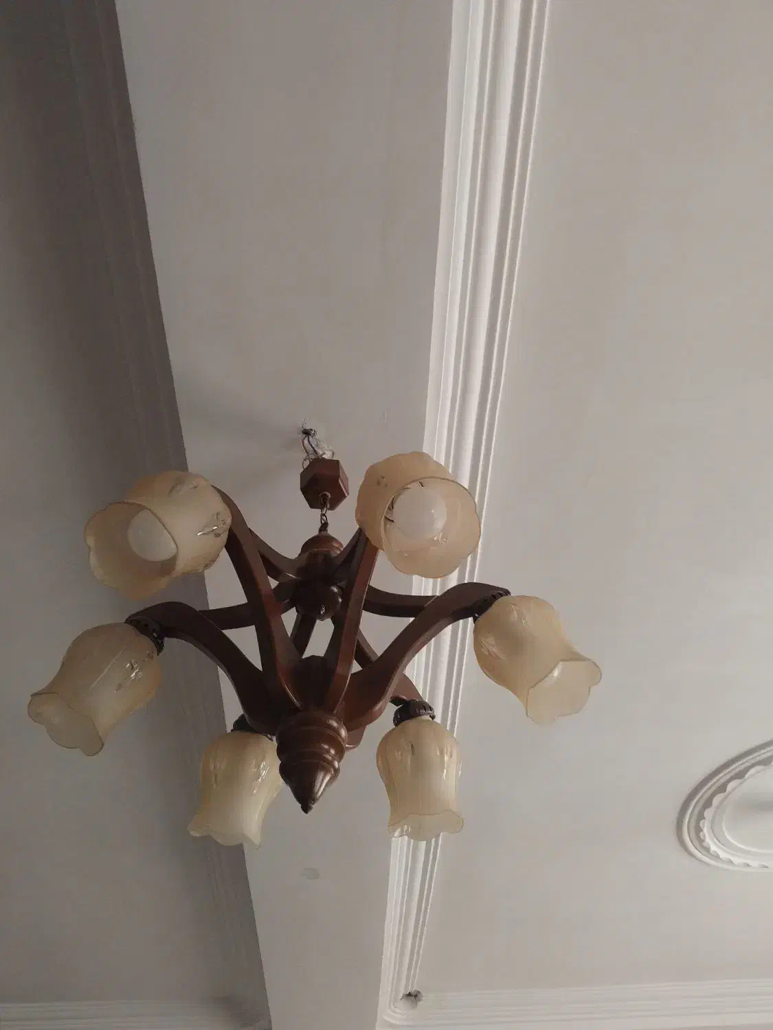 لوستر چوبی سالم|لوستر و چراغ آویز|بم, |دیوار